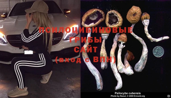 спиды Дмитровск