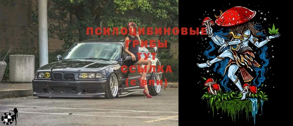 спиды Дмитровск
